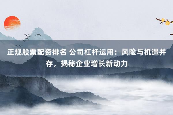 正规股票配资排名 公司杠杆运用：风险与机遇并存，揭秘企业增长新动力