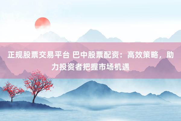 正规股票交易平台 巴中股票配资：高效策略，助力投资者把握市场机遇