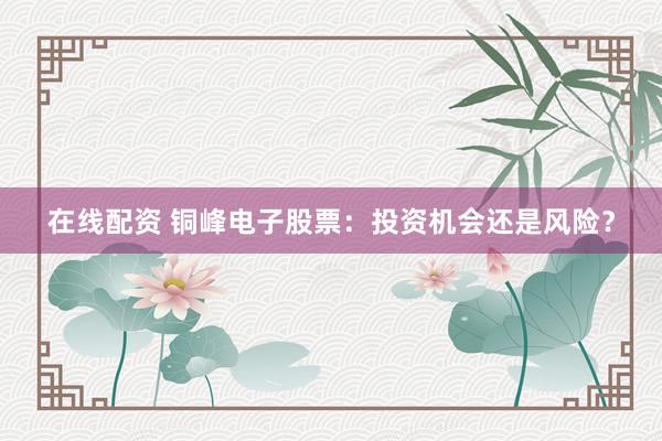在线配资 铜峰电子股票：投资机会还是风险？