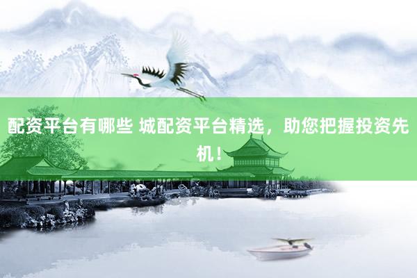 配资平台有哪些 城配资平台精选，助您把握投资先机！