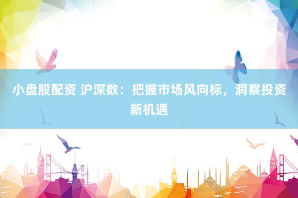 小盘股配资 沪深数:把握市场风向标,洞察投资新机遇