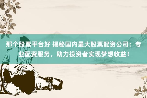 那个股票平台好 揭秘国内最大股票配资公司：专业配资服务，助力投资者实现梦想收益！