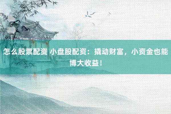 怎么股票配资 小盘股配资：撬动财富，小资金也能博大收益！